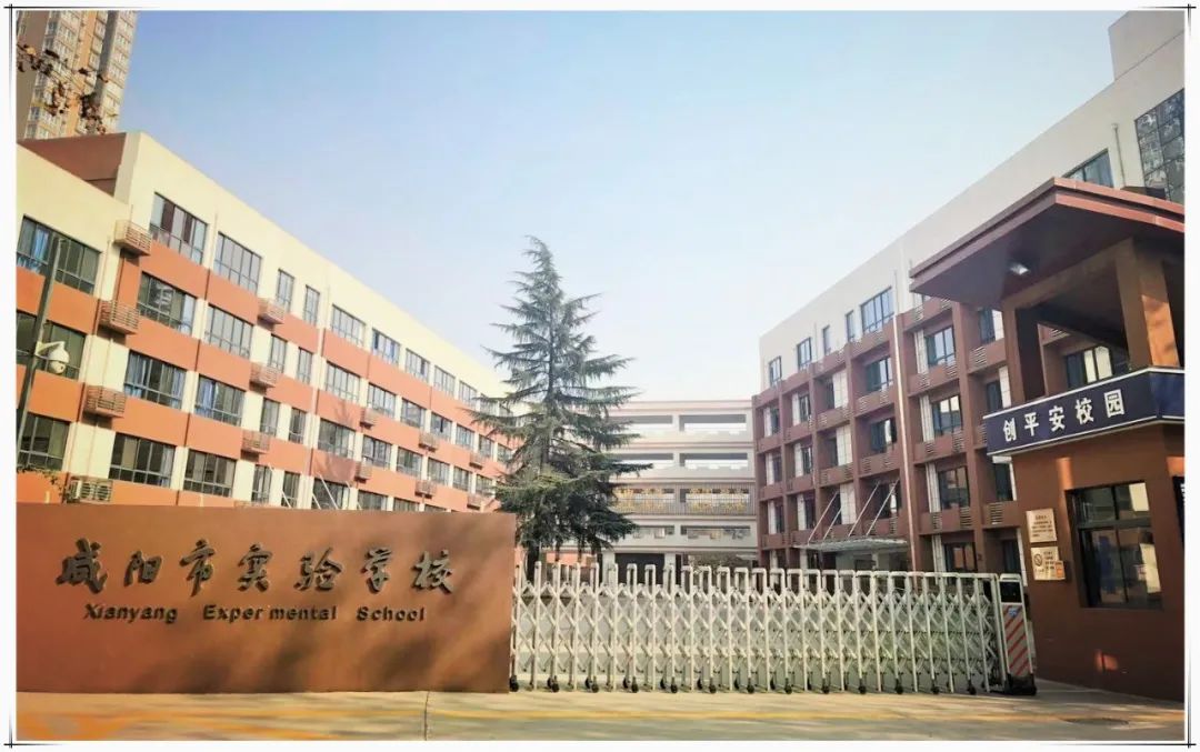 1683710500198311.jpg 3.jpg