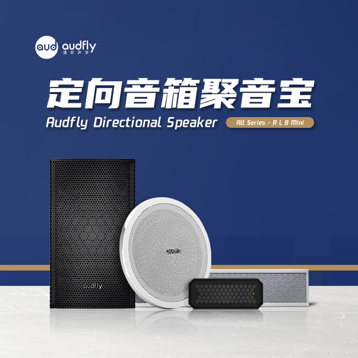 清聽聲學(xué)定向音響聚音寶